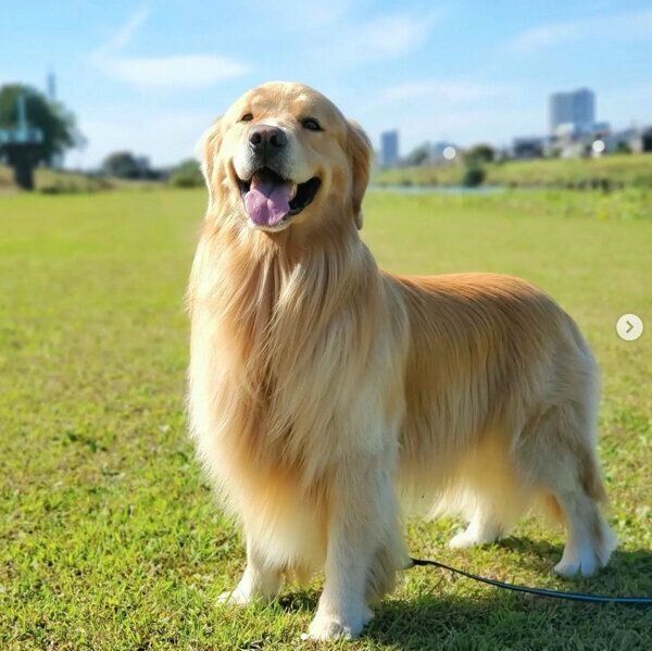 楽しそうなアランくん