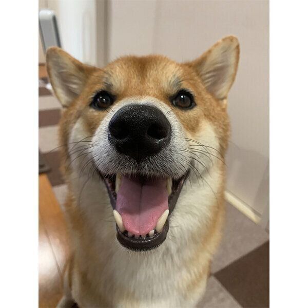 笑顔の仁太くん