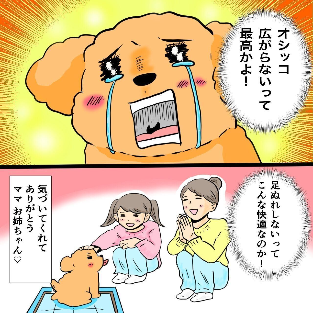 デオシートで感動する愛犬 広がらない 足が濡れない 超快適ライフ