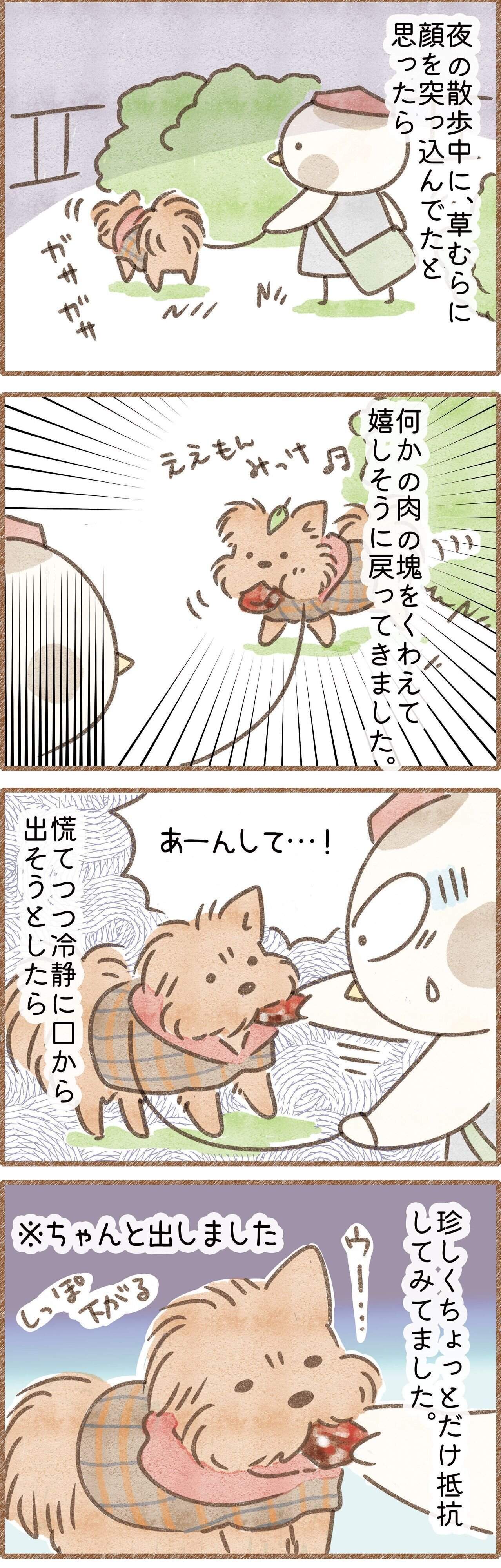 散歩中拾い食いしかけた犬の漫画