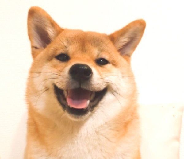 微笑む龍乃子姫ちゃん