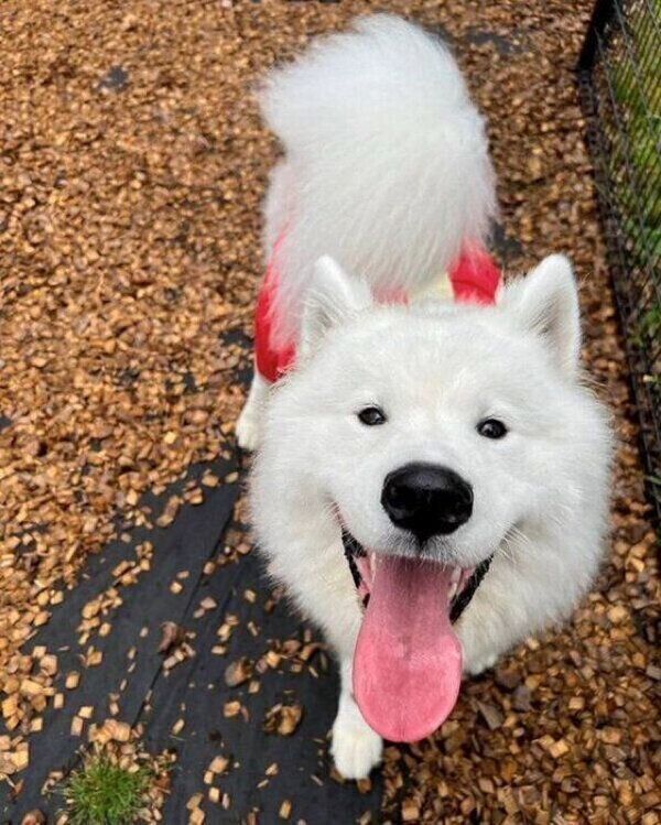 笑顔が可愛いとうふくん