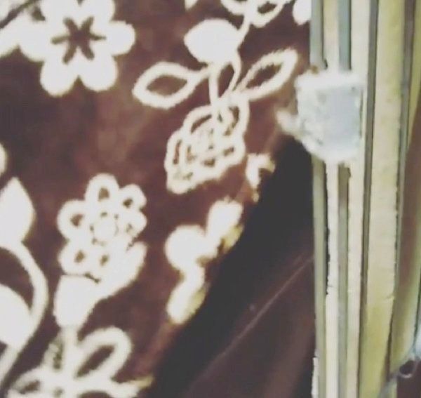 布団にこもる犬