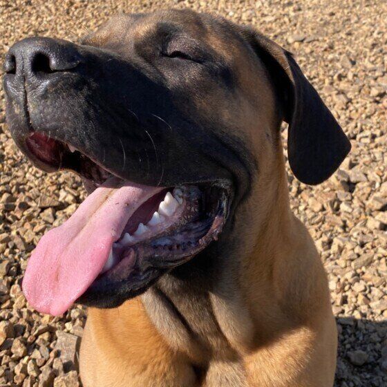 笑顔のむっくくん