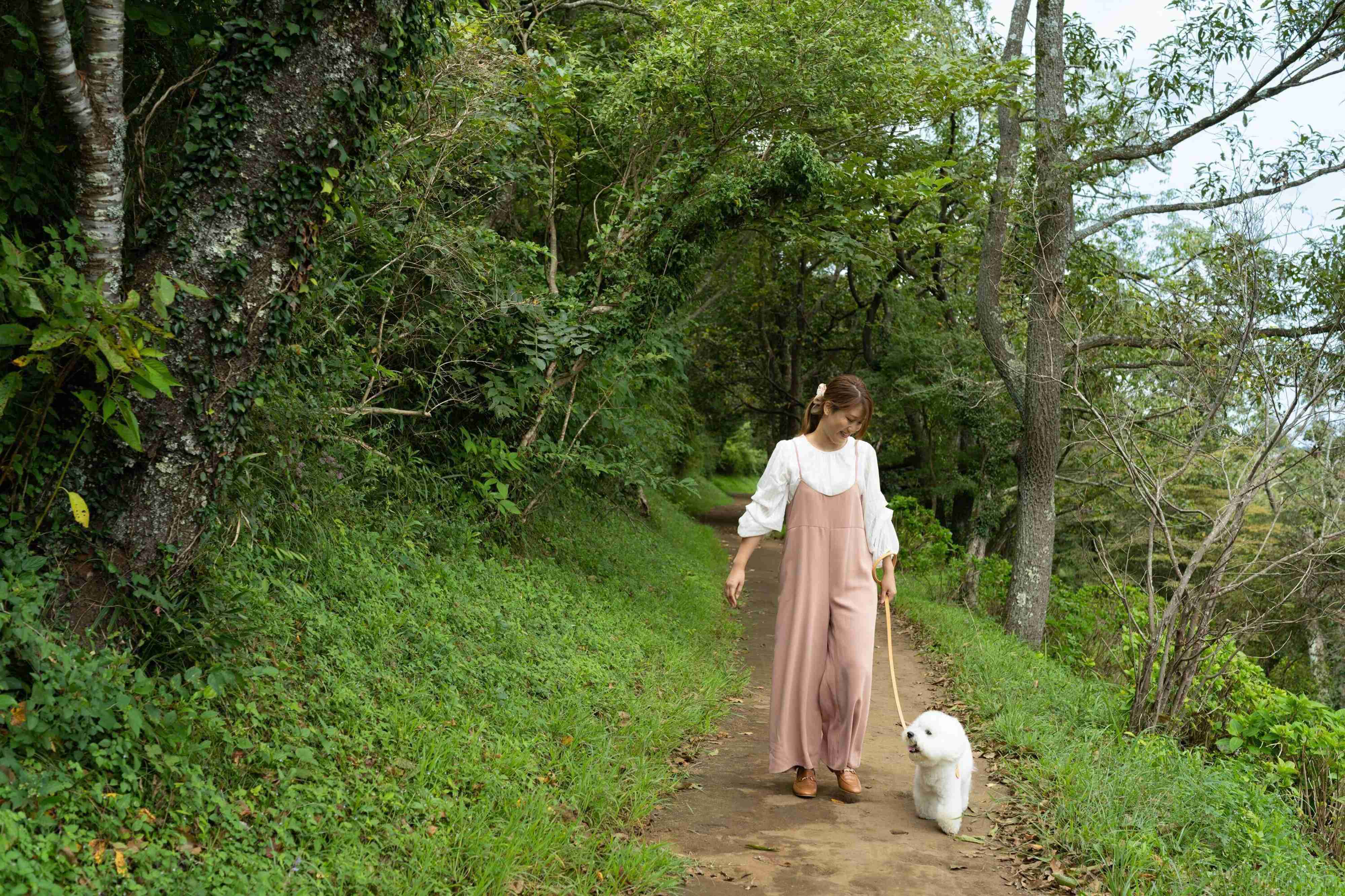 Pr 体験レポ 千葉県 マザー牧場 は犬連れのお出かけに最高な遊び場でした いぬのきもちweb Magazine Pr 体験レポ 千葉県 マザー牧場 は犬連れのお出かけに最高な遊び場でした いぬのきもちweb Magazine