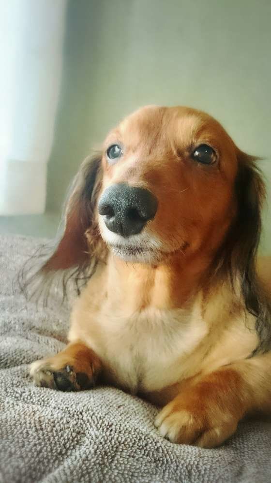 優しいお顔をしているね。