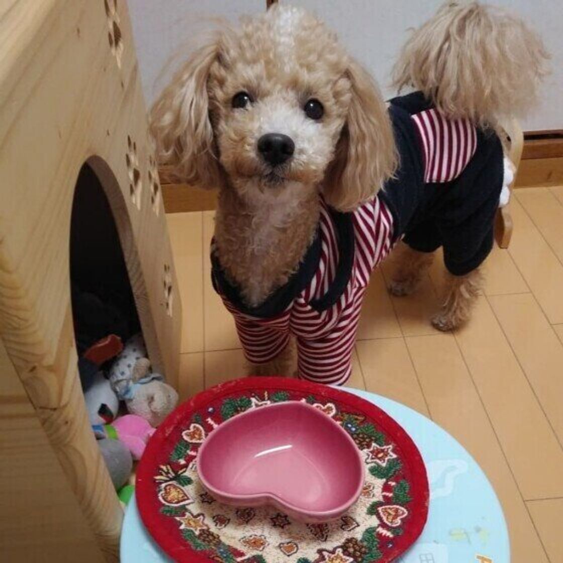 犬の食器がヌルヌルする のはなぜ ヌメリをとるアイデアと犬のよだれのヒミツを獣医師が解説 いぬのきもちweb Magazine 犬の食器がヌルヌルする のはなぜ ヌメリをとるアイデアと犬のよだれのヒミツを獣医師が解説 いぬのきもちweb Magazine