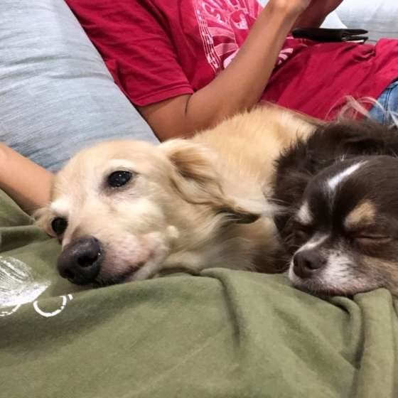 ケンシロウちゃん