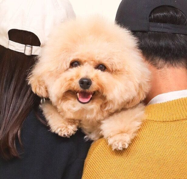 最高の笑顔を見せるポテチくん