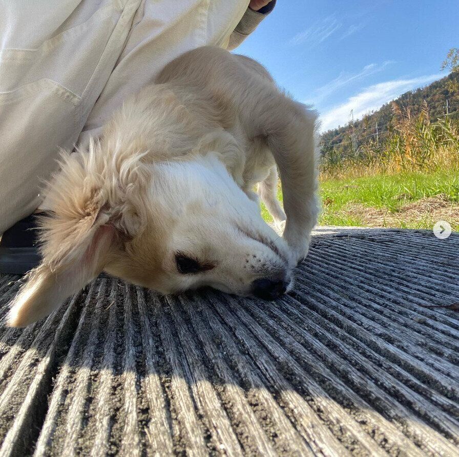 スリスリするMEROちゃん