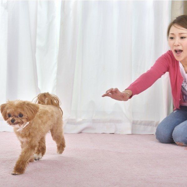 写真／佐藤正之