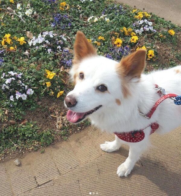 笑顔のまるこちゃん