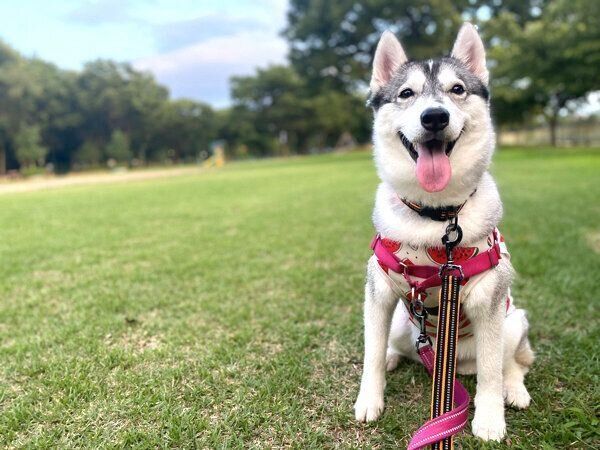 笑顔のノンノさん