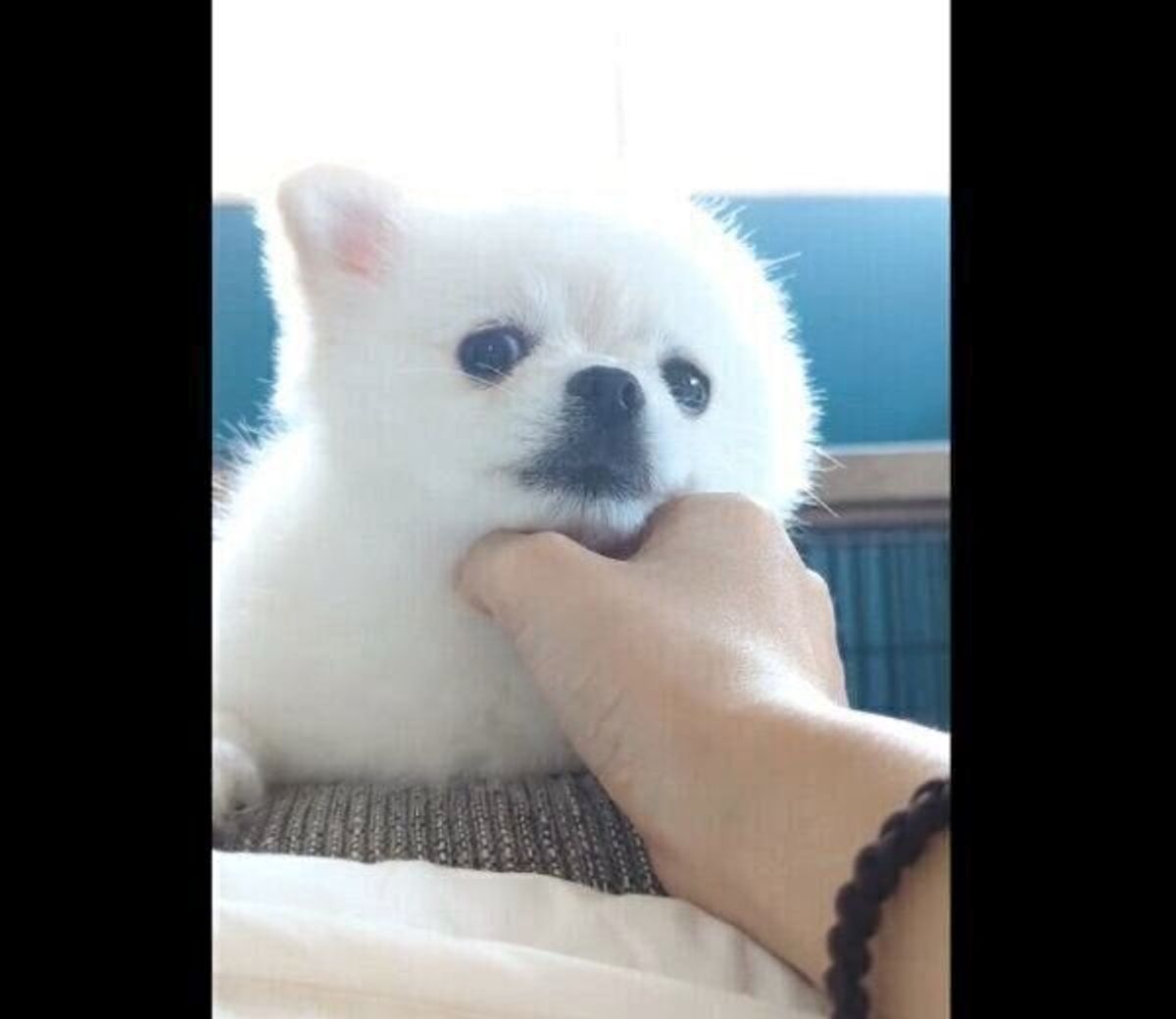 Psuuzc5frdxjfm Psuuzc5frdxjfm