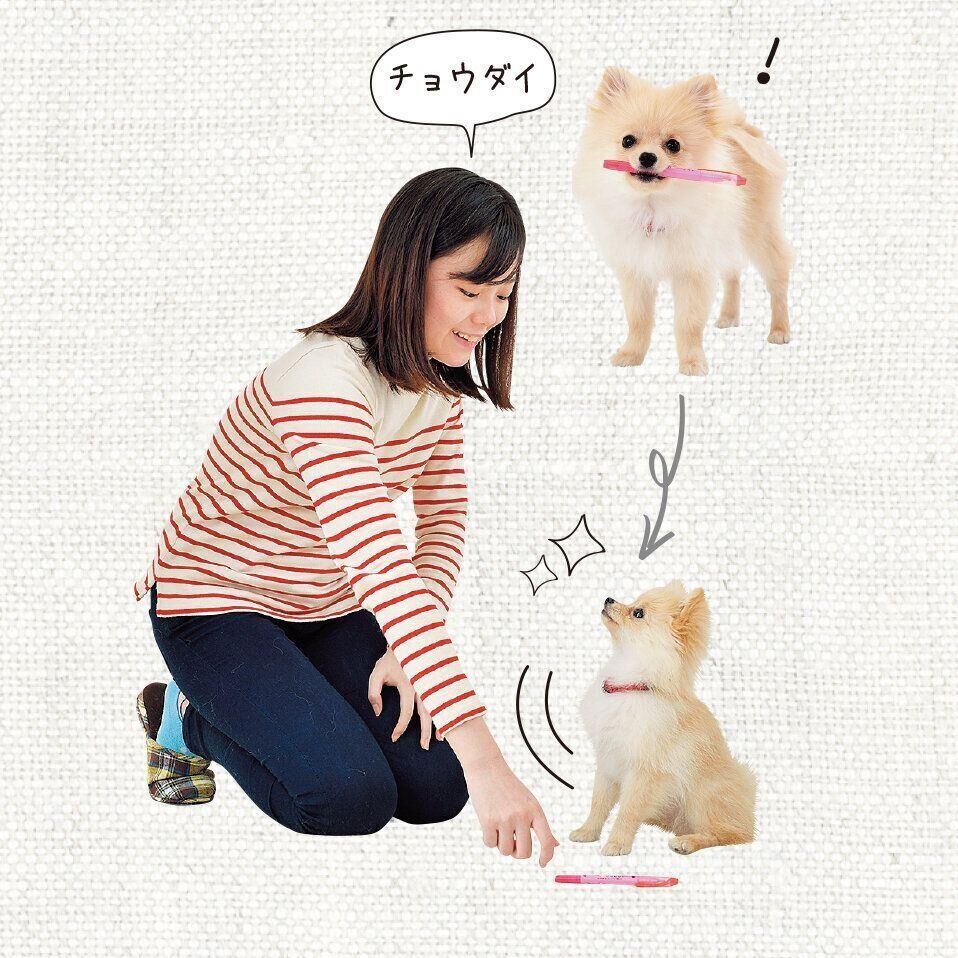 いぬのきもち⭐︎2021年1月から11月分⭐︎まとめ売り⭐︎ いぬのきもち 2025年1月〜6月号 6冊セット - メルカリ