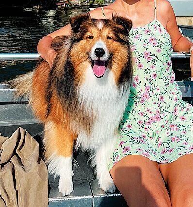 Ｊさん夫妻のもとで幸せになったラーメンちゃん（５才）。世界中をいっしょに旅することに