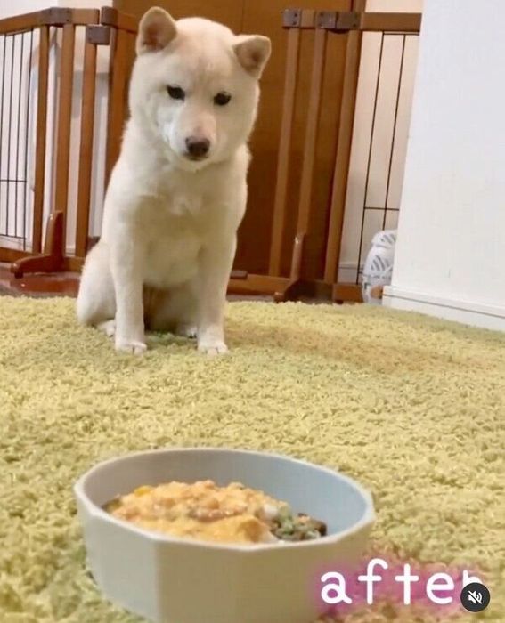 マテる女子になったモチ代さん
