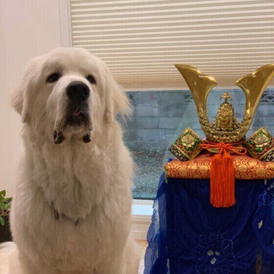 兜と写真を撮るあお