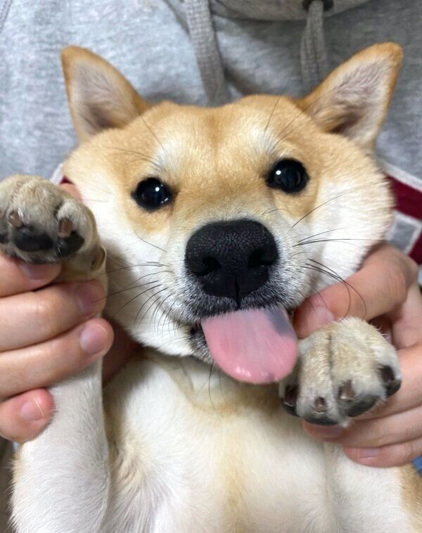 笑顔のまめ助くん