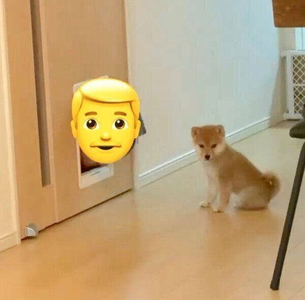 戸惑うこたろうくん