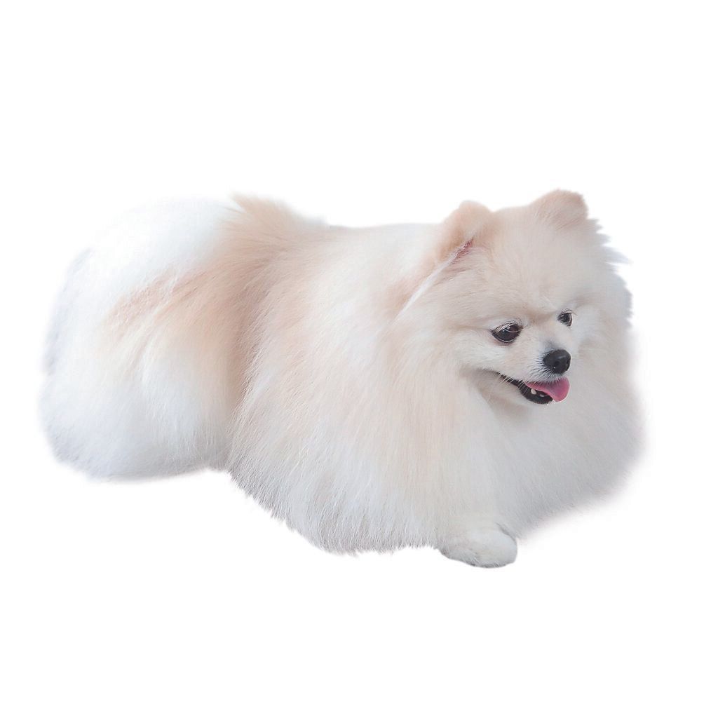 呼吸が速かったり、体が熱かったりすると熱中症の疑いが！