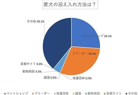 愛犬の迎え入れ方法は?