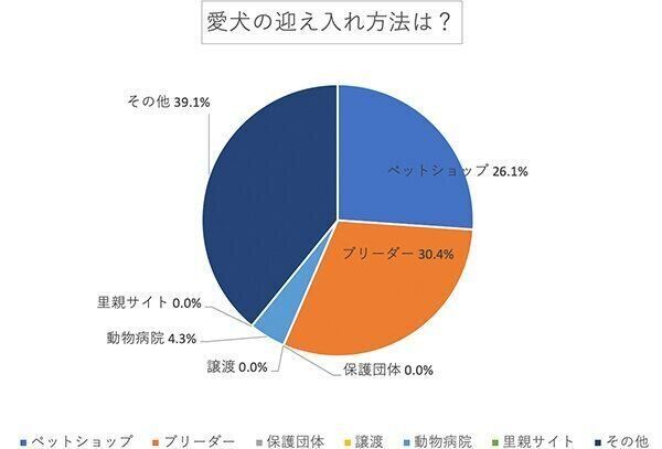 愛犬の迎え入れ方法は？