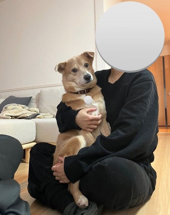 飼い主さんにくっつくあさぎちゃん