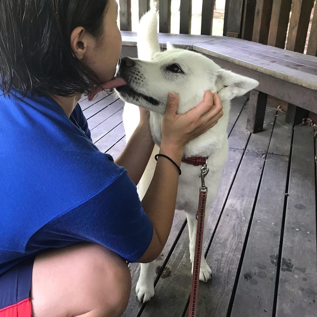 飼い主さんの娘さんをペロペロするののちゃん