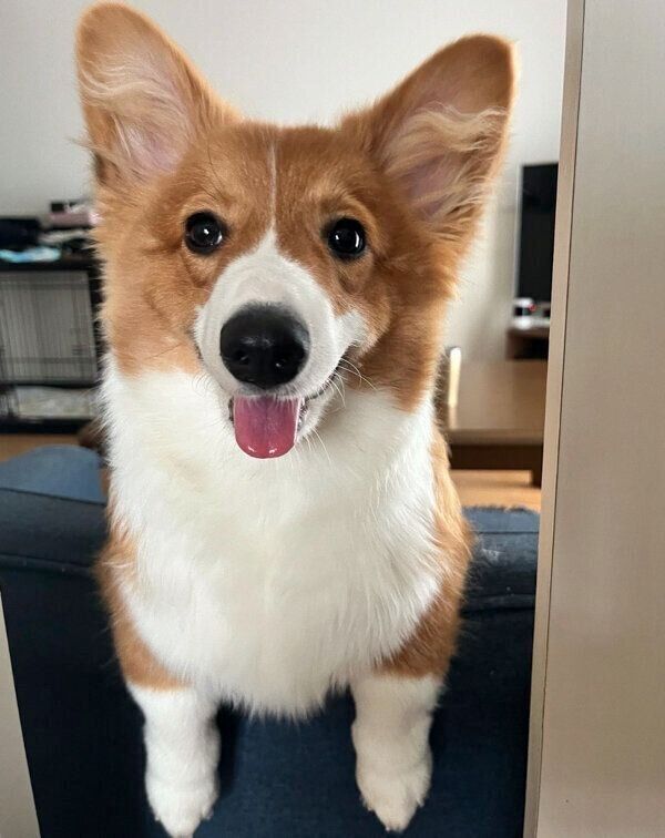 笑顔が可愛いぺぺちゃん