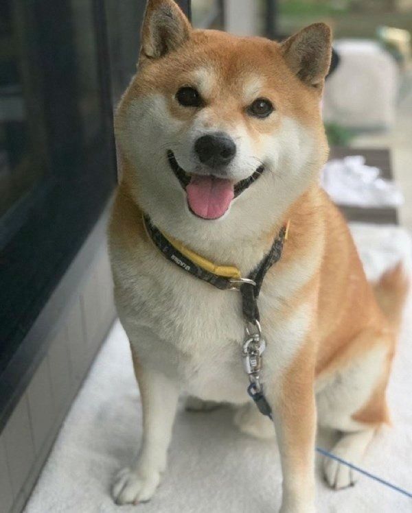 見つめるたろくん