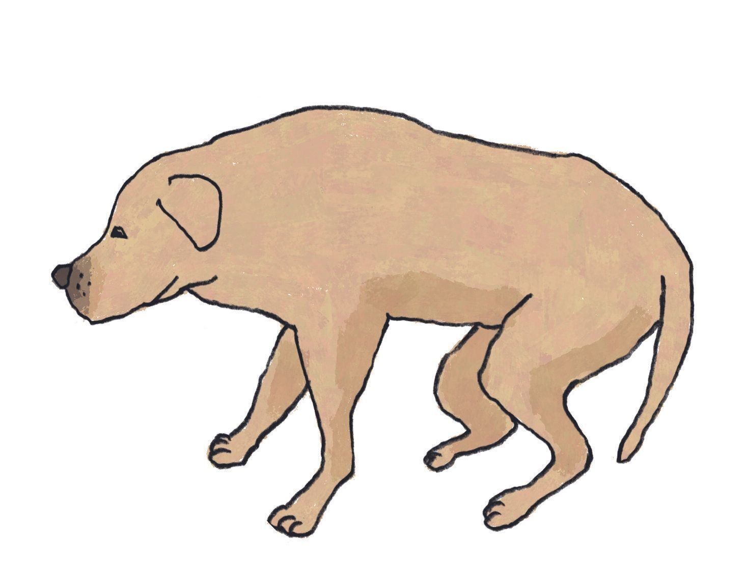 イラスト／五嶋直美