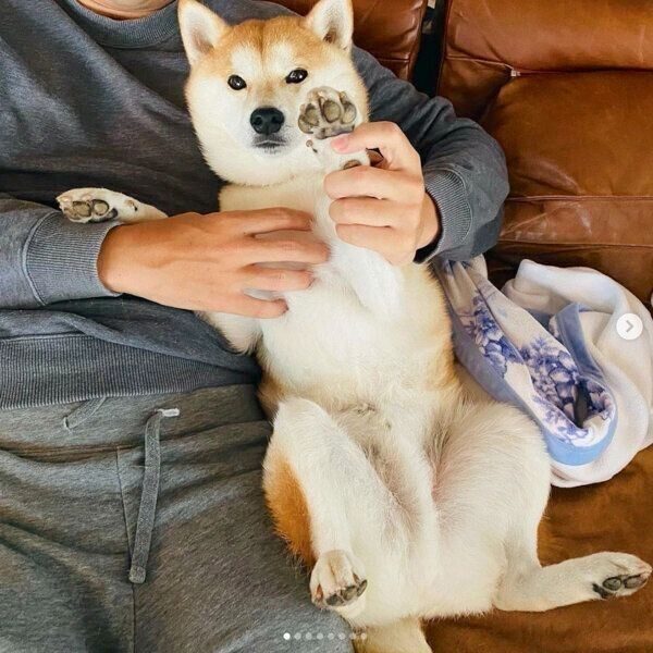 くつろぐなぎまるくん