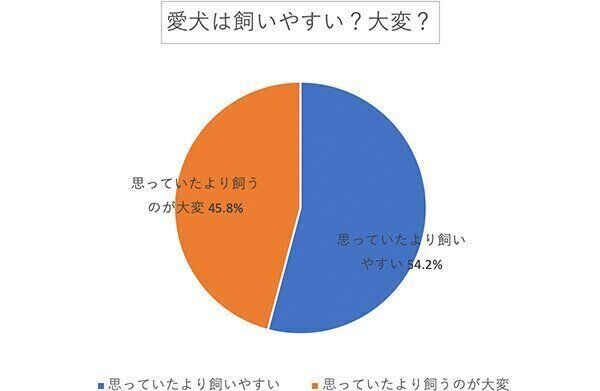 愛犬は飼いやすい? 大変?