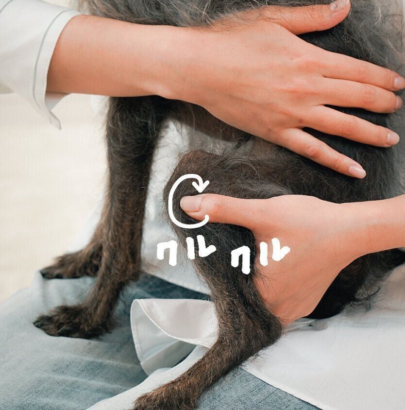 円をえがくように刺激する