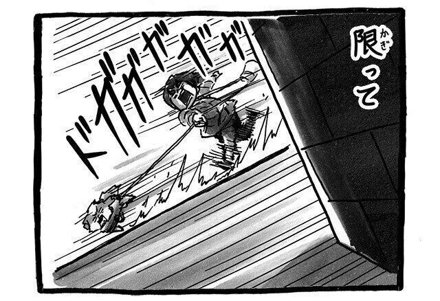 シーズー犬マンガてんぽshihtzu