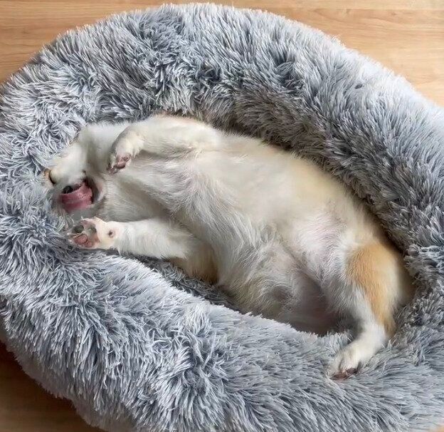 お口をムニャムニャするつむぎちゃん