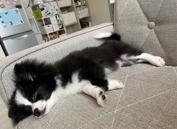 眠るあるとくん