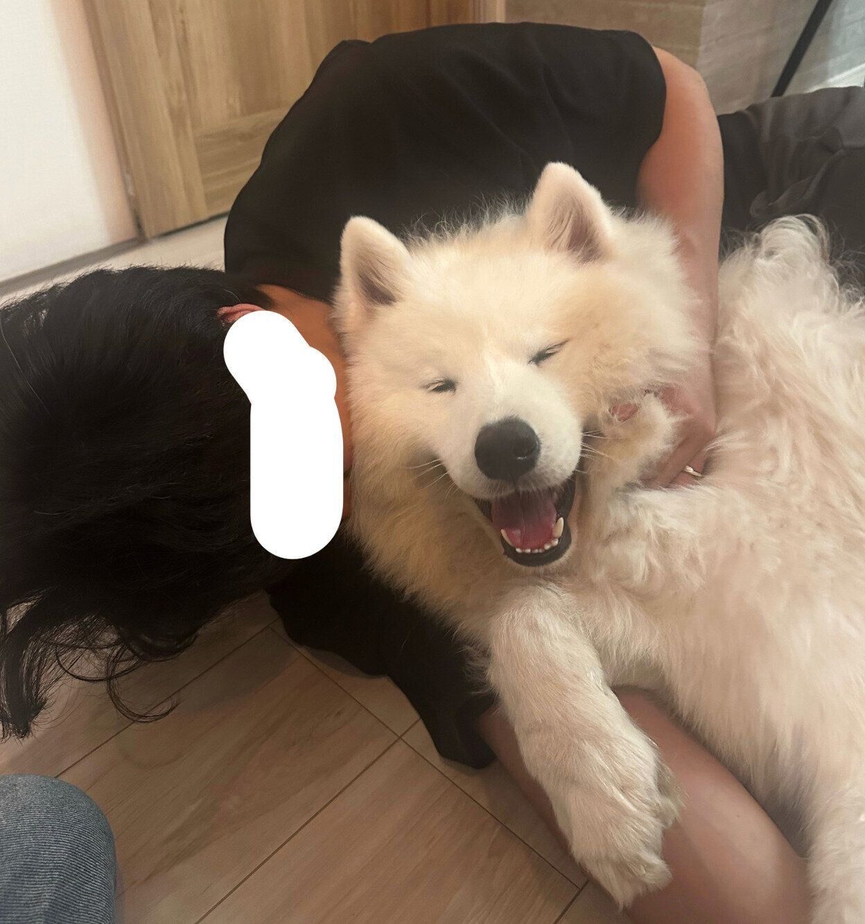 嬉しそうなさだはるくん