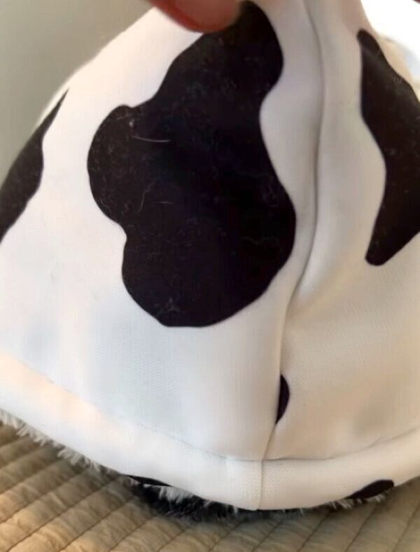 牛柄の洋服を着て熟睡するぱぐぞうくん