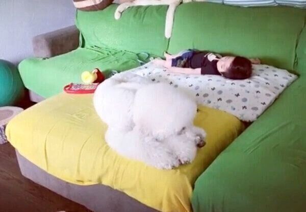 男の子・むぎくんのそばで眠るがっくん