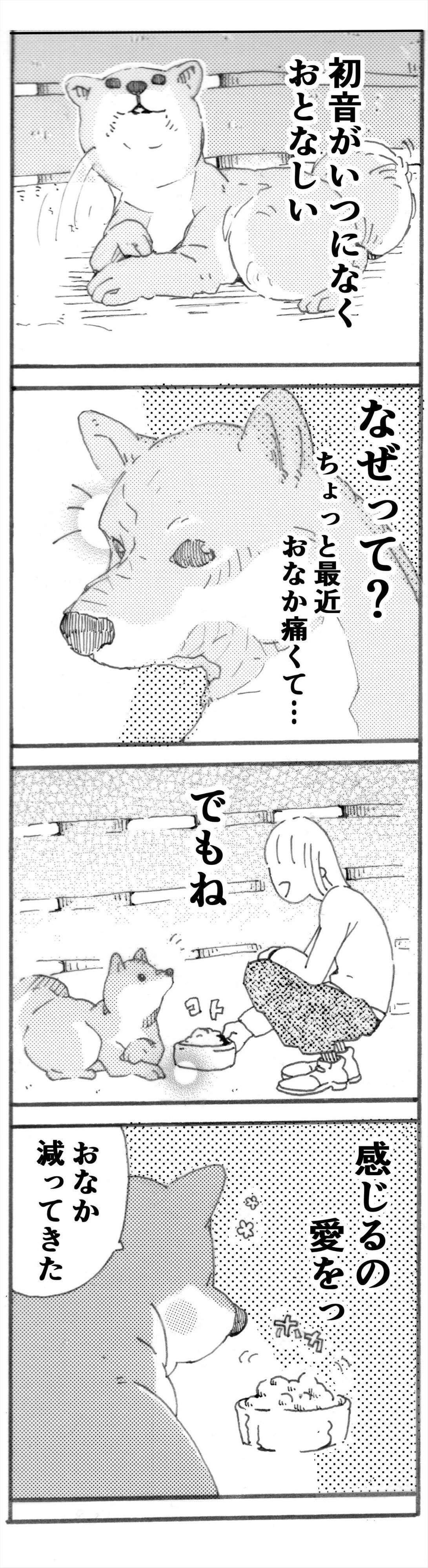 連載漫画【初音じゃけえ】第39話「お母さんのごはん」｜いぬのきもちWEB MAGAZINE