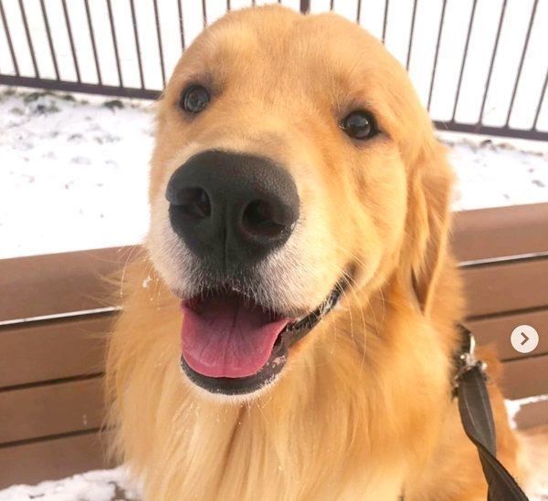 笑顔を見せる福ちゃん