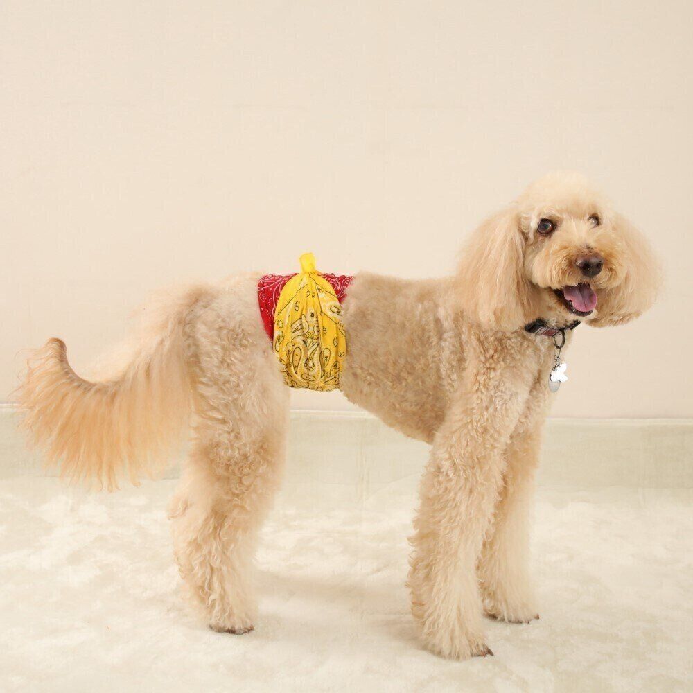 撮影／尾﨑たまき