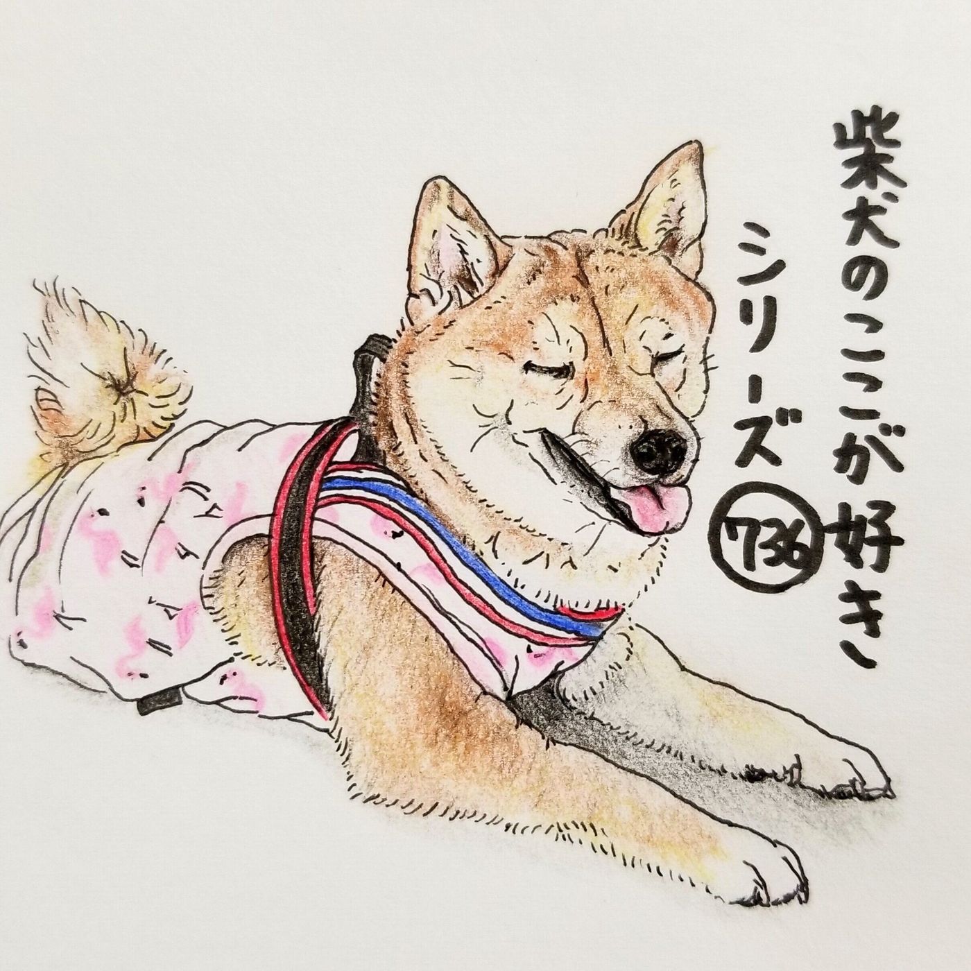 柴犬あるある ハァハァ言いながら休んでいるとき 糸目になってるとこ 連載 ここ掘れここ柴 Vol 136 いぬのきもちweb Magazine 柴犬あるある ハァハァ言いながら休んでいるとき 糸目になってるとこ 連載 ここ掘れここ柴 Vol 136 いぬのきもちweb Magazine