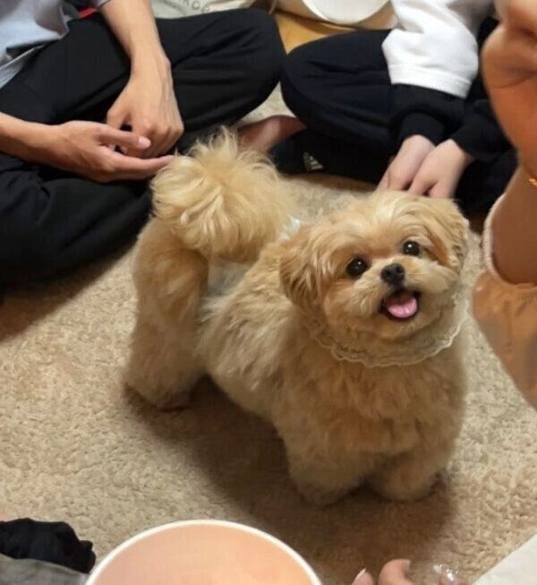 遊んでもらって笑顔になるがんもくん