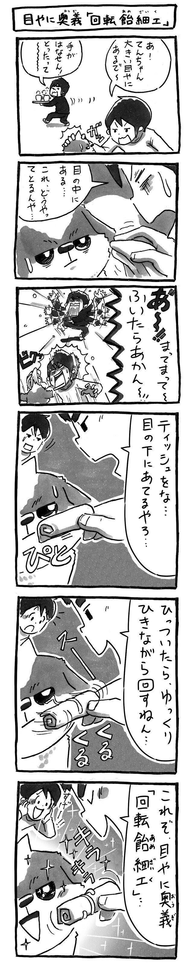 連載「シーズー犬のてんぽ」