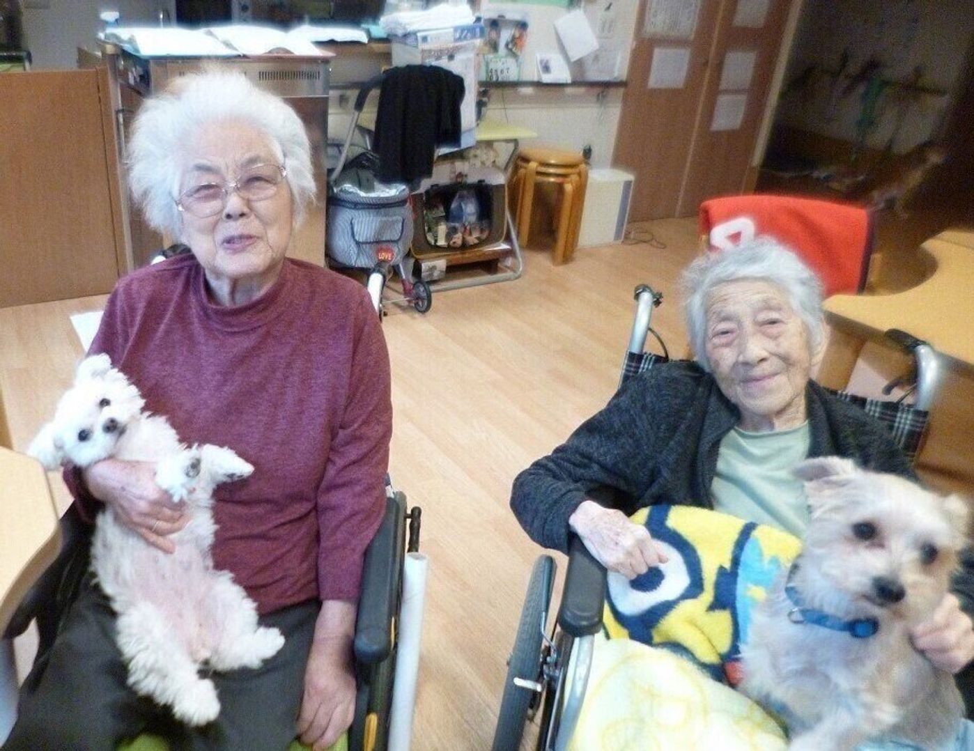 ホームの入居者の死期を察知 その時まで寄り添い続ける元保護犬の姿 いぬのきもちweb Magazine ホームの入居者の死期を察知 その時まで寄り添い続ける元保護犬の姿 いぬのきもちweb Magazine