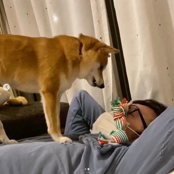 急にドSになるにこちゃん