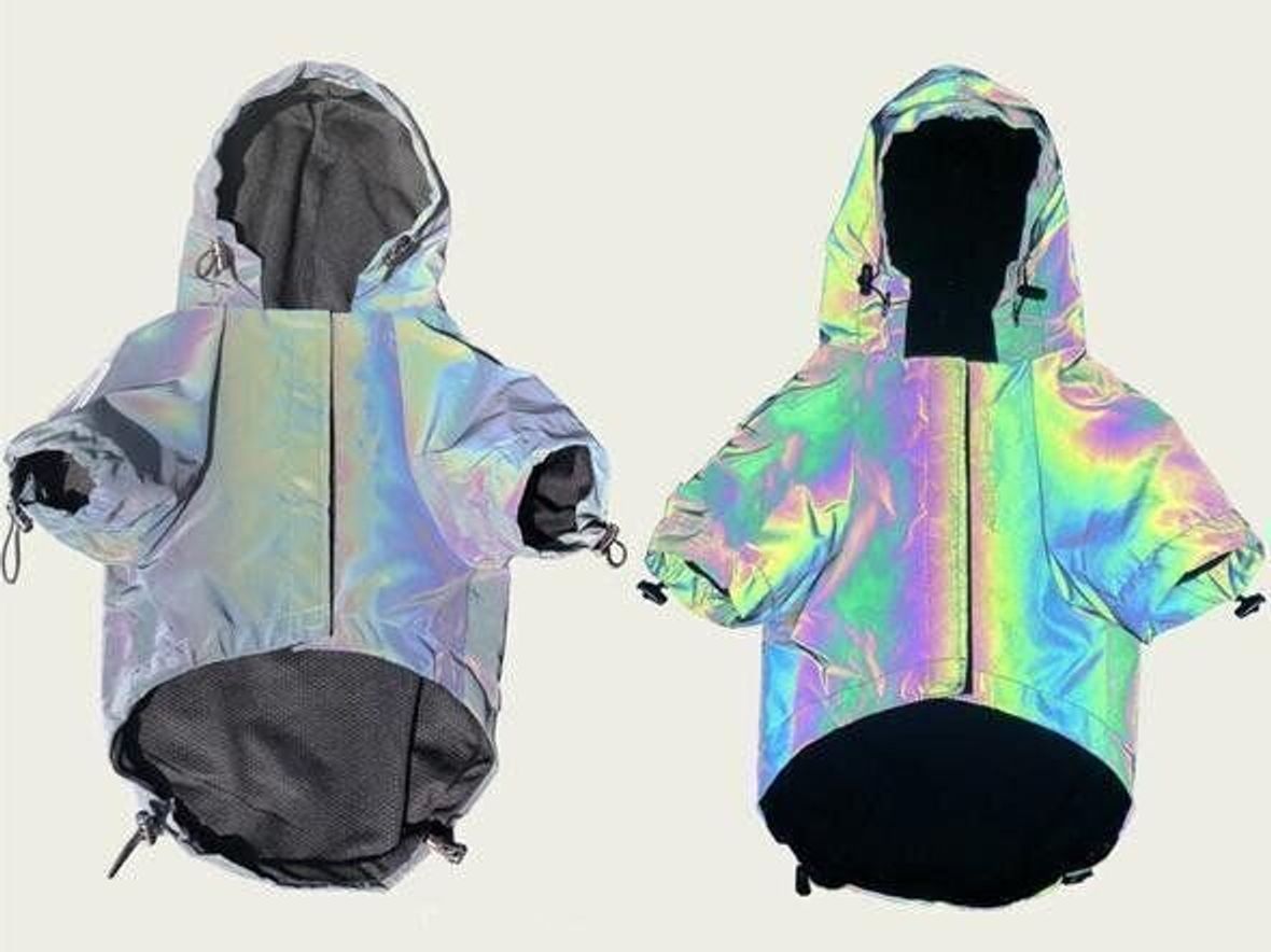 虹色の服 で散歩時の愛犬を守る 反射材使用のレインボージャケット いぬのきもちweb Magazine 虹色の服 で散歩時の愛犬を守る 反射材使用のレインボージャケット いぬのきもちweb Magazine